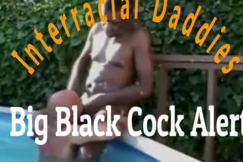 older Daddies, Interracial Daddies BBC Alert !!!