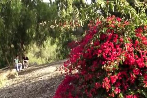 Blond teen plowed raw