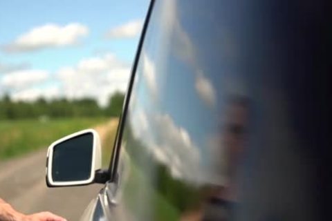 fuck And Breeding In The Woods