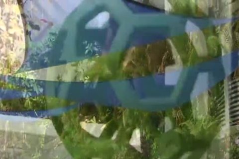 Jake Marshall And Rick long (SDFF)