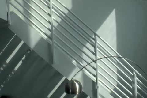 Valentin Petrov And Trey Turner (DF)