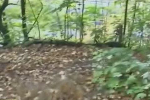 pretty twink In Wood For Pay irrumation-stimulation unprotected nail And Eatcum