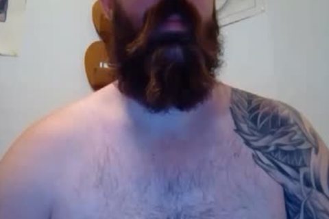 BEARDGAME227 IS LOOKING FOR A BEAR