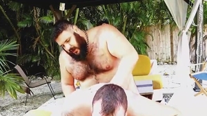 homosexual Bear plowing 033