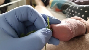 Experimenting With Stinging Nettles