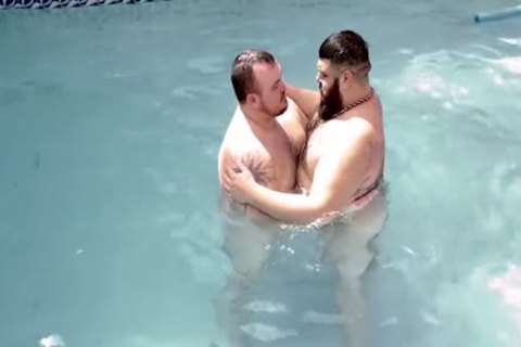 Two lusty Bears Flip Flop