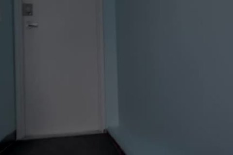 Horny gay sucking cock