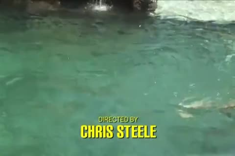 wild Pool Sex
