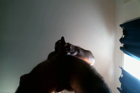 Xannnnnnn Jerking On recent Suede bed