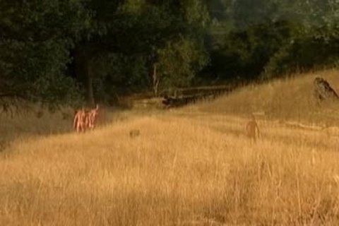 Trespass : supplementary Bonus Scenes