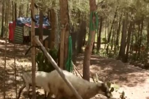 Adam Risco & Javi Mendez bareback