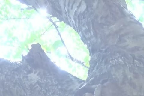 'HUNK CHANNEL â€“ BW-039 â€“ ç­‹è‚‰é‡Žå¤–äº¤å°¾'