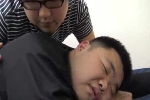 chubby Japanese Bear