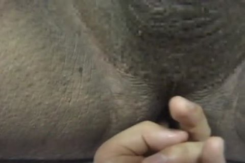 (Japanese)(Samson) - hairy fat Bear And His Companion