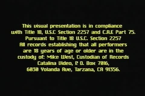 Party In Provincetown