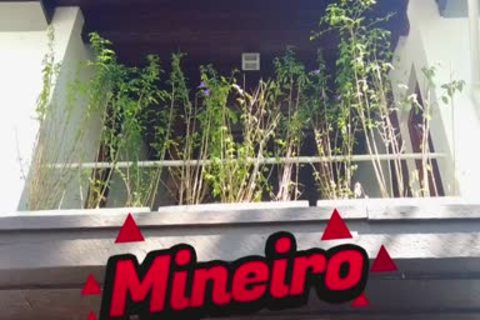 pounding A Brazilian hoe Wearing sweethearts's pants