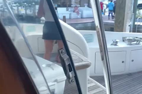 wazoo Over The Atlantic