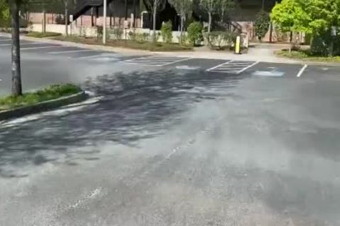 fucking Outside In The Park