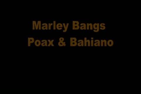 Lucas Fox Marley Poax