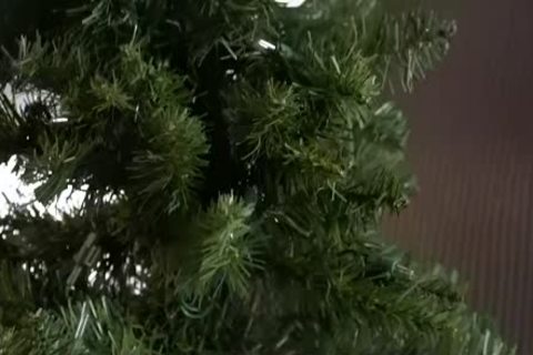 Stepson Giving daddy Some Christmas Joy