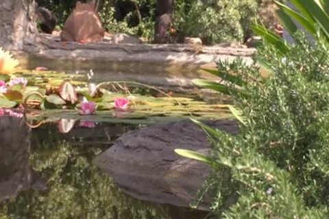 Johnny Parker And Rogue Status (IFV P2)