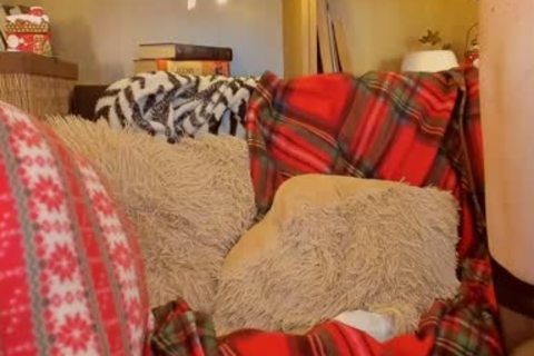 gays gays gays Xxx yummy