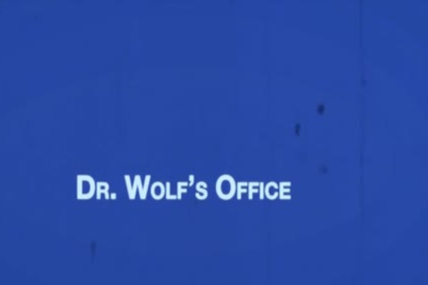 FSB - Oliver & Dr. Wolf - Chapter 1 Dr. Wolf's Office