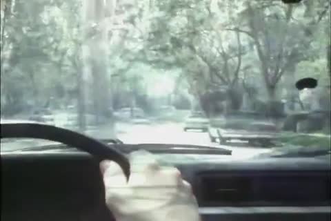 Delivery twinks (1985)