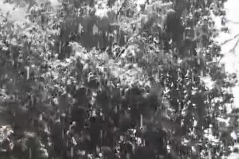 homosexual Porn Venyveras 03