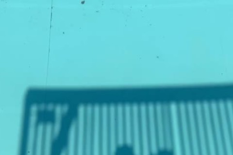 Fuckin' 2 Beach Bums