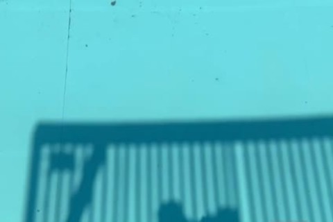 Fuckin' 2 Beach Bums