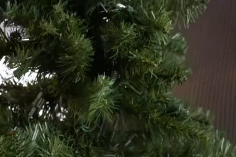 Stepson Giving daddy Some Christmas Joy