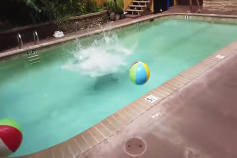 NS - happy plowing Birthday Johnny Rapid, Scene 1