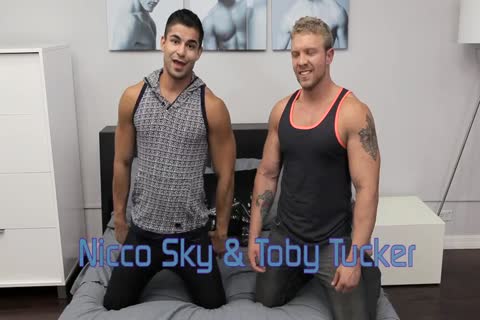 Nicco And Toby