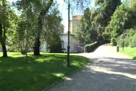 William Higgins - Street Hunting