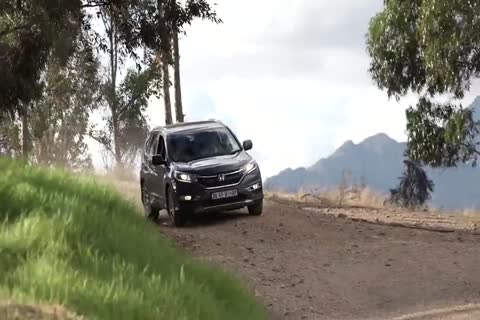 boyz Having fun In The Farm