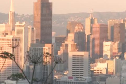 The ideal Ten - Jake Lyons And Marcus Mojo