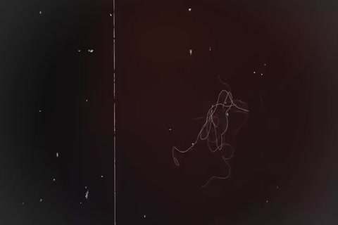 Masters Of The steel 10-Pounder Ep three Ally Or Foe