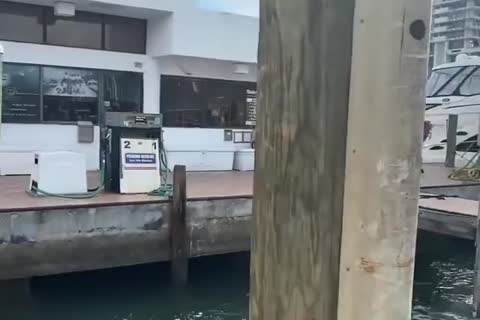 Chino Blacc - booty Over The Atlantic