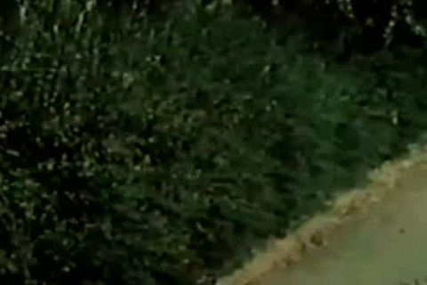 Vintage gorgeous males