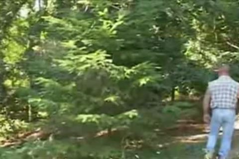 Hiry Bar And Cub Mating In delicious Nature