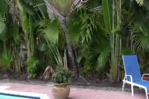 Bo Bangor And Dalton Hawg (BR P1)