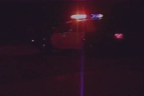lusty Cops