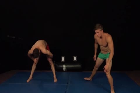 Alan Vs Alan Wrestling