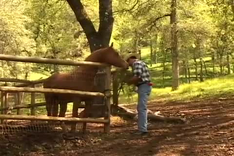 Back To Nature, Sex On The Farm