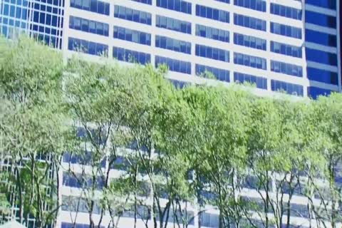 Business & enjoyment