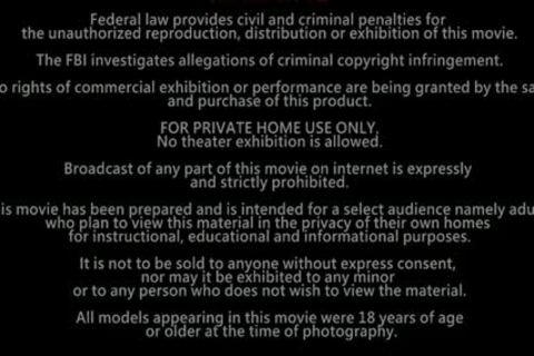 asian Plumber Sex Part two