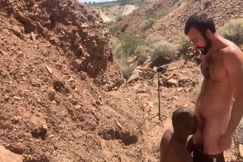 Breeding August On A Hike