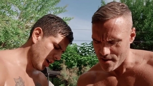 DrillMyHole: Dissolving Trunks Lead to a Wet Surprise