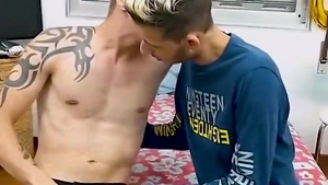 Domus Netto & Rafiy Andrades